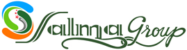 Salma Group